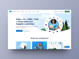 salesforce homepage should answer