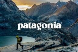 Patagonia's strategic narrative