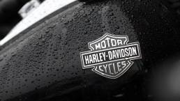 harley davidson's strategic narrative