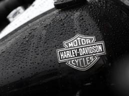 harley davidson's strategic narrative